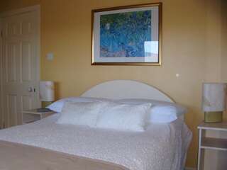 Отели типа «постель и завтрак» Klondyke House B&B Уотервилл Двухместный номер с 2 отдельными кроватями и видом на море-1