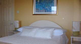 Отели типа «постель и завтрак» Klondyke House B&B Уотервилл Двухместный номер с 1 кроватью и видом на горы-3